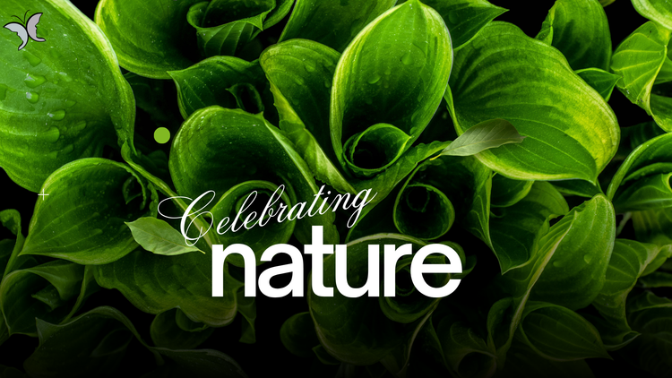 For the plant-lover in you