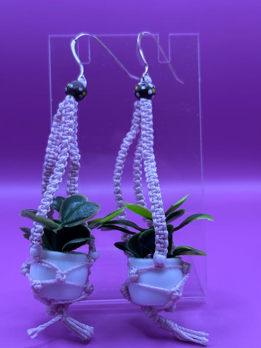 Beige/ Brown Signature Plant hanger earrings